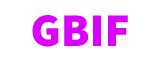 Georgia Best Inc